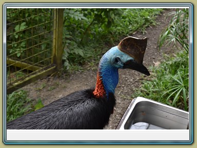 Birdworld Kuranda