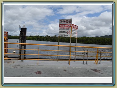 Daintree Ferry (QLD)