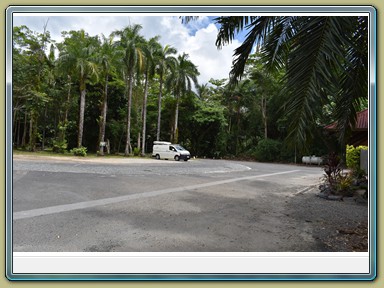 Cape Tribulation (QLD)