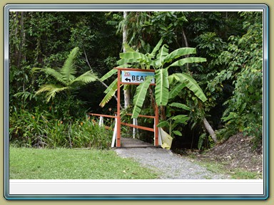 Cape Tribulation (QLD)