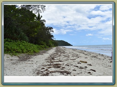 Cape Tribulation (QLD)