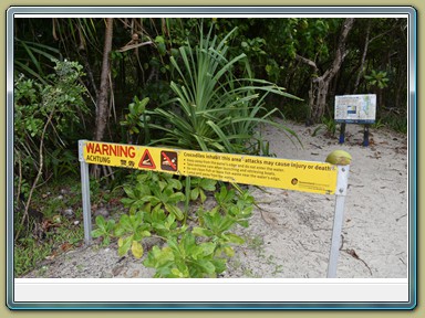 Cape Tribulation (QLD)