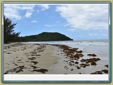 Cape Tribulation (QLD)