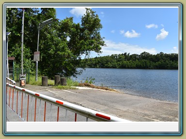 Daintree Ferry (QLD)