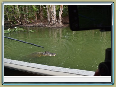 Hartley's Crocodile Adventures,Wangetti (QLD)