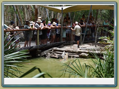 Hartley's Crocodile Adventures,Wangetti (QLD)