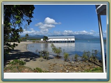 Sunday Market - Port Douglas (QLD)