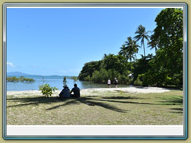 Sunday Market - Port Douglas (QLD)