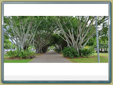 Cairns - Esplanade (QLD)