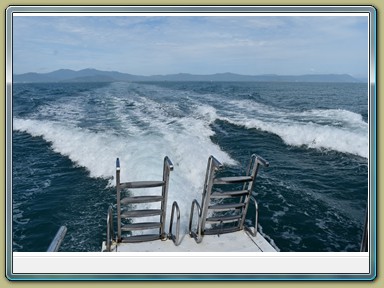 Passions of Paradise - Dive & Snorkel Great Barrier Reef (QLD)