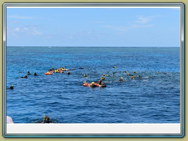 Passions of Paradise - Dive & Snorkel Great Barrier Reef (QLD)