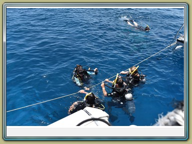 Passions of Paradise - Dive & Snorkel Great Barrier Reef (QLD)