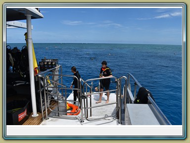 Passions of Paradise - Dive & Snorkel Great Barrier Reef (QLD)