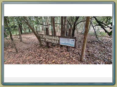 Platypus Viewing Area, Yungabarra (QLD)