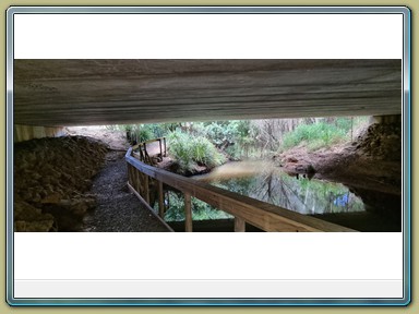 Platypus Viewing Area, Yungabarra (QLD)