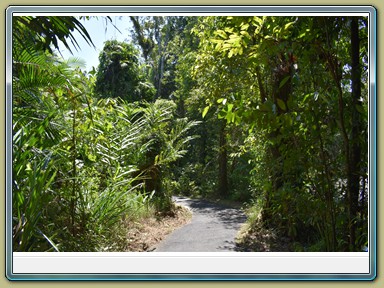 Babinda Boulders (QLD)