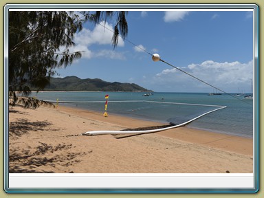 Magnetic Island (QLD)