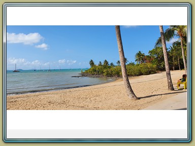 Airlie Beach (QLD)