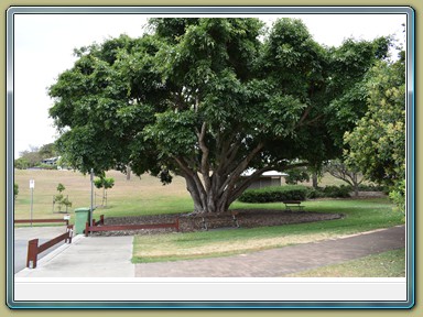 Hervey Bay (QLD)