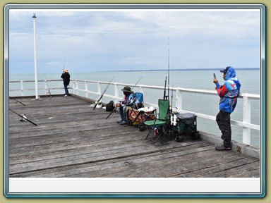 Urangan Pier, Hervey Bay (QLD)