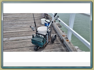 Urangan Pier, Hervey Bay (QLD)