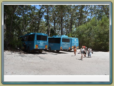 Fraser Island (QLD)