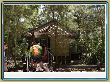 Fraser Island (QLD)