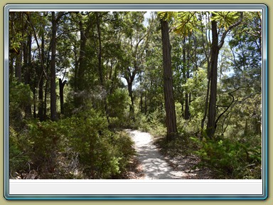 Fraser Island (QLD)