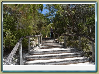 Fraser Island (QLD)