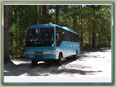 Fraser Island (QLD)