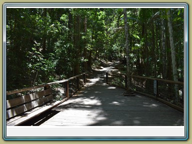 Fraser Island (QLD)