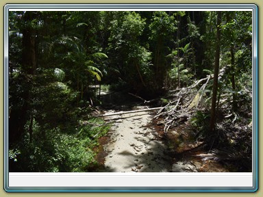 Fraser Island (QLD)