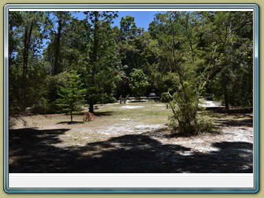 Central Station, Fraser Island (QLD)