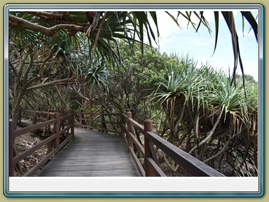 Point Cartwright Lighthouse, Buddina (QLD)