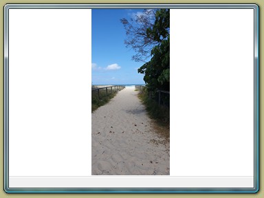 Gold Coast Beach (QLD)