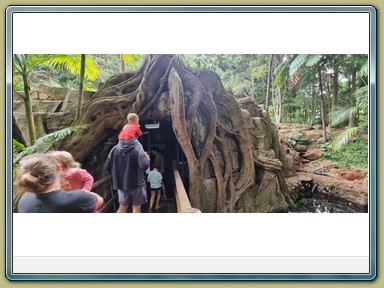 Glow Worm Caves, Tamborine Mountain (QLD)