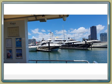 HOTA Ferry - Nerang River, Gold Coast (QLD)