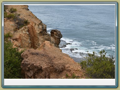 Newcastle - Coast Line (NSW)