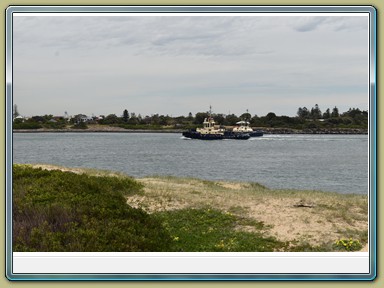 Nobbys Beach, Newscastle (NSW)