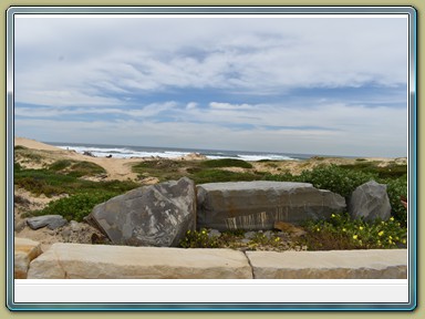 Nobbys Beach, Newscastle (NSW)