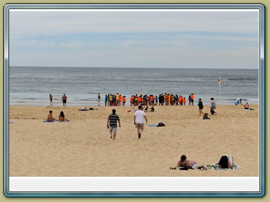 Nobbys Beach, Newscastle (NSW)