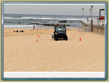 Nobbys Beach, Newscastle (NSW)