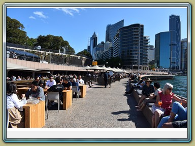 Circular Quay, Sydney (NSW)