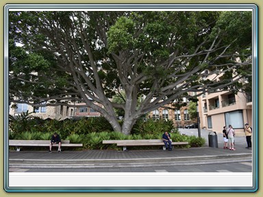 The Rocks, Sydney (NSW)