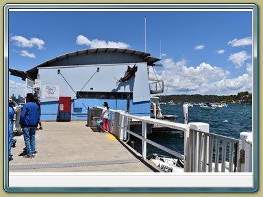 Watson Bay, Sydney (NSW)