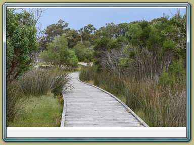 Raymond Island (VIC)