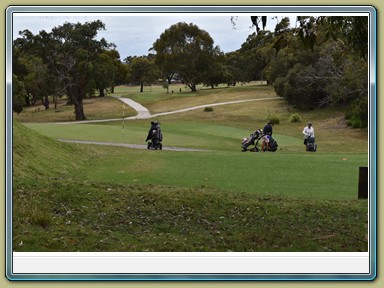 Anglesea Golf Club (VIC)