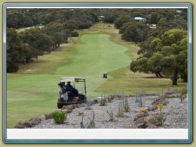 Anglesea Golf Club (VIC)