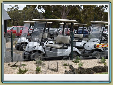 Anglesea Golf Club (VIC)