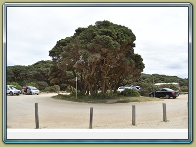 Great Ocean Road (VIC)